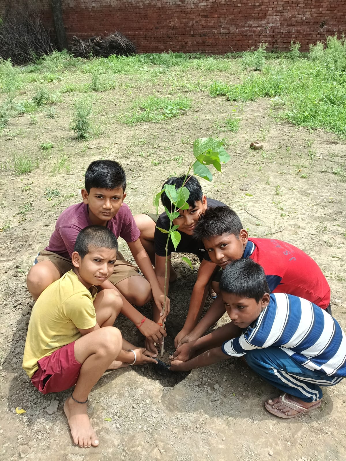 Project photo